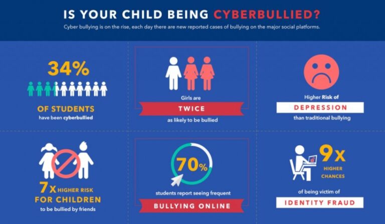 comprehensive cyberbullying infographic